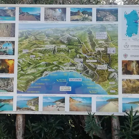 Sa Madalena A Dorgali-iun E4918 B&B