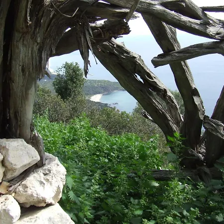 Sa Madalena A Dorgali-iun E4918 3* 多尔加利