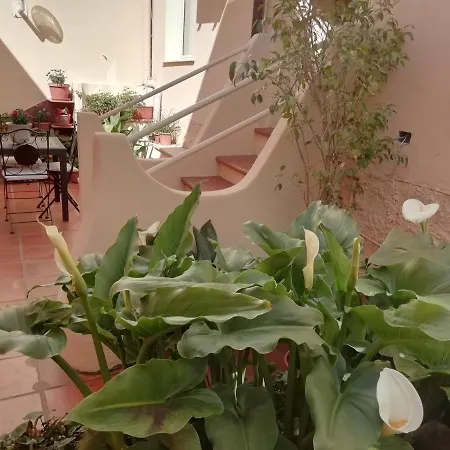 B&B Sa Madalena A Dorgali-iun E4918 도르갈리