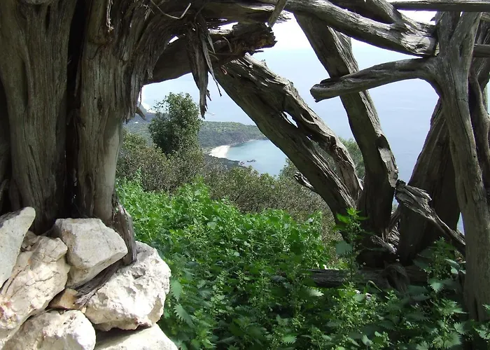 Sa Madalena A Dorgali-iun E4918 3* Dorgali