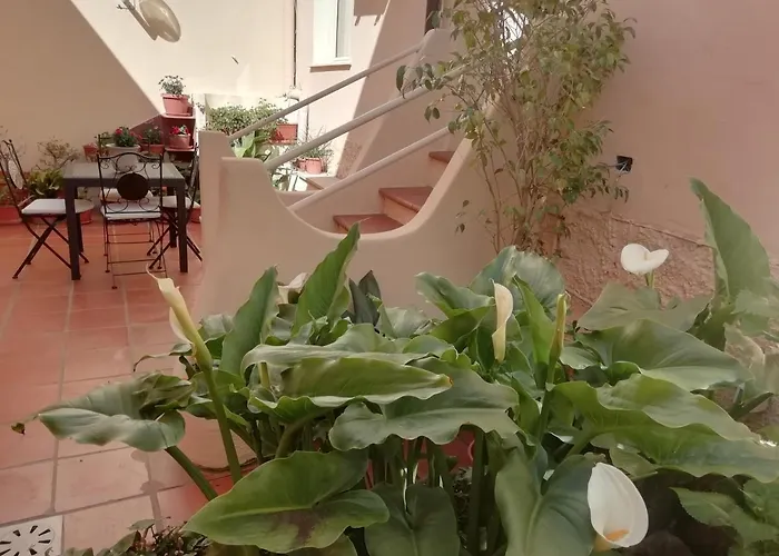 Bed & Breakfast Sa Madalena A Dorgali-iun E4918 Dorgali